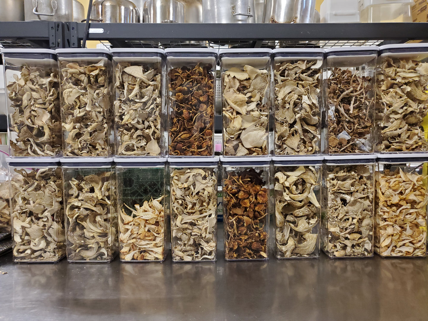 Dried Oyster Mushrooms (Mixed)