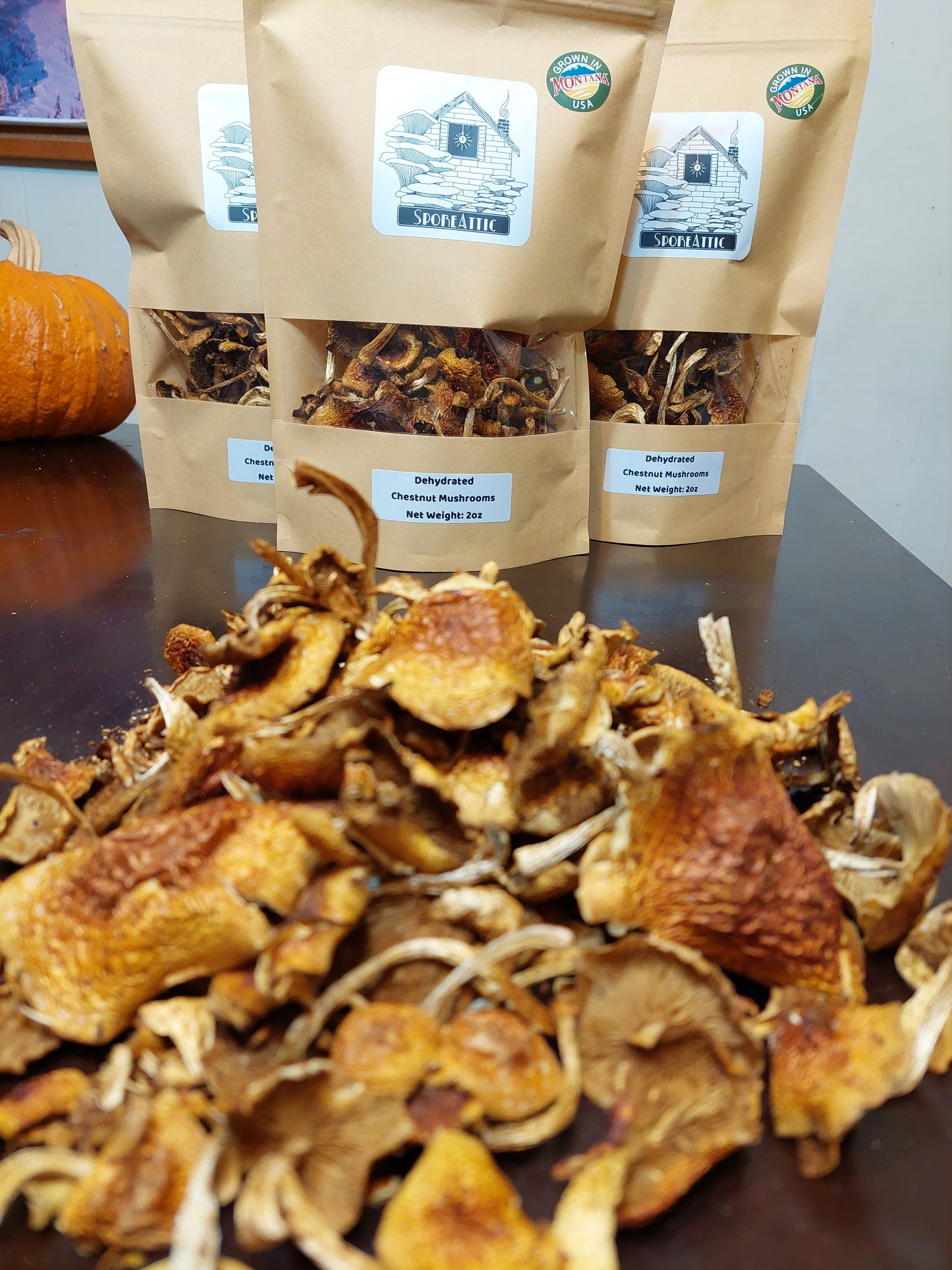 Dried Chestnut Mushrooms