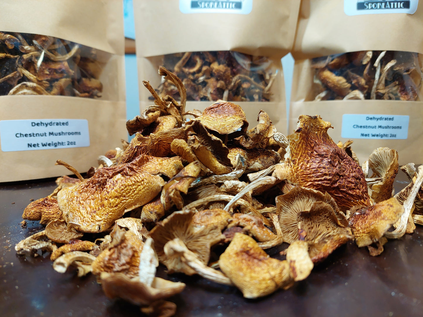 Dried Chestnut Mushrooms